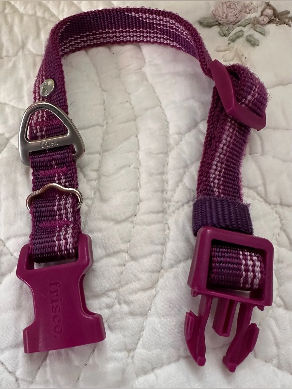 New~Frisco Plum Adjustable Dog Collar